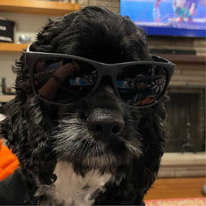 Meet your Posher, Lilah